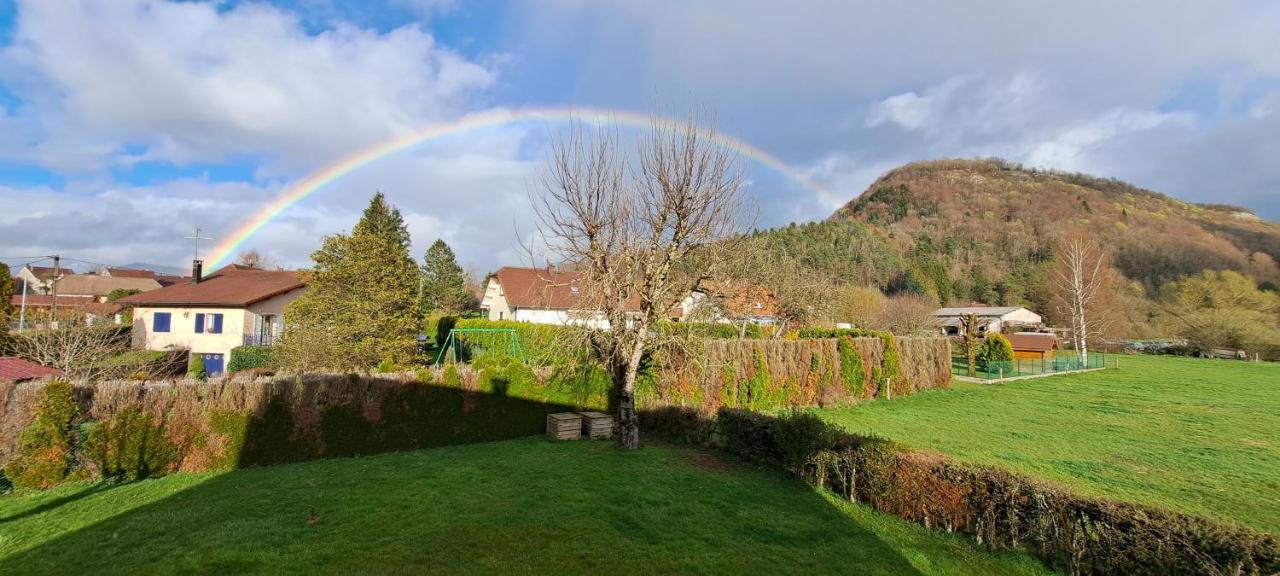 Appartement "Les Calins" Ney Esterno foto